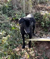 processed/fb5fa037-1632-45bc-9025-3017dac59154/listing/ca1cddb6-a687-4e98-be20-e8e8628c1f31/858ddf4c-3cfb-4f3f-abad-2f361fb04f4f