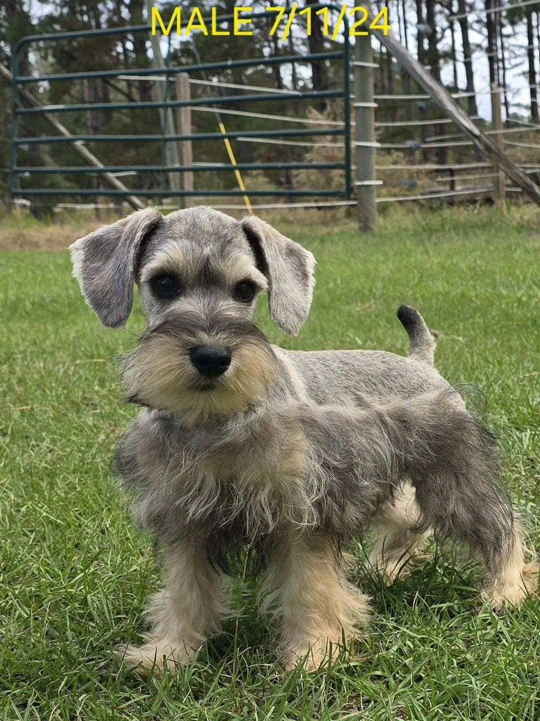 processed/fb5fa037-1632-45bc-9025-3017dac59154/listing/e9665d40-85cd-4d11-9998-4d3e68b51c53/096046f1-d038-4201-987e-e914290e4ef0