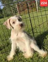 processed/fb5fa037-1632-45bc-9025-3017dac59154/listing/e9665d40-85cd-4d11-9998-4d3e68b51c53/0cf809f2-8c45-4444-a258-44144e8ebc09