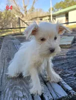 processed/fb5fa037-1632-45bc-9025-3017dac59154/listing/e9665d40-85cd-4d11-9998-4d3e68b51c53/66da0875-da54-49d3-b899-78712e3a8592