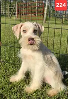 processed/fb5fa037-1632-45bc-9025-3017dac59154/listing/e9665d40-85cd-4d11-9998-4d3e68b51c53/6d8dcfc3-be4a-4437-abf5-09d4c9f45431