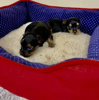 processed/fb5fa037-1632-45bc-9025-3017dac59154/listing/e9e24fe0-0013-4fba-bc8d-10a87eaa32c9/8db15453-0b1a-4580-8423-4c54e6f751b2