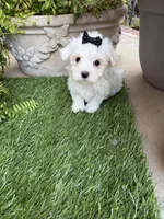 processed/fb5fa037-1632-45bc-9025-3017dac59154/listing/f50faef1-4543-4f9f-8b85-2c6344b084ec/3dbd2593-d361-4d16-9a92-b54068e4e160