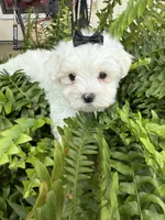 processed/fb5fa037-1632-45bc-9025-3017dac59154/listing/f50faef1-4543-4f9f-8b85-2c6344b084ec/6271e831-a2fd-463e-b672-9b192aa15230