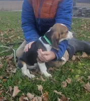 processed/fb64407c-486c-47f1-a1aa-1580ef65dc21/listing/55c11bf6-a7d6-45f3-9bcd-2b24fb620332/6e3517ac-92bd-403c-a4c0-d5000b8e7f9b