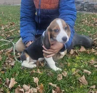 processed/fb64407c-486c-47f1-a1aa-1580ef65dc21/listing/55c11bf6-a7d6-45f3-9bcd-2b24fb620332/eaf7365d-5233-4320-bbaa-21a8d4c697f4