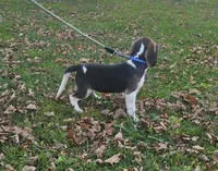 processed/fb64407c-486c-47f1-a1aa-1580ef65dc21/listing/97c08824-47ca-4400-8653-38610dd6fc06/4a1298fd-d632-4dc3-abc1-fd4749ac30bd