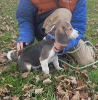 processed/fb64407c-486c-47f1-a1aa-1580ef65dc21/listing/97c08824-47ca-4400-8653-38610dd6fc06/92b62719-ded7-4f28-8790-80d7f2835960