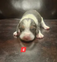 processed/fb64407c-486c-47f1-a1aa-1580ef65dc21/listing/999088d4-c43e-40ad-9dc8-ca4db12b3613/016b77fe-9a32-45b9-8398-d0f632e9f926