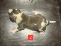 processed/fb64407c-486c-47f1-a1aa-1580ef65dc21/listing/999088d4-c43e-40ad-9dc8-ca4db12b3613/3f805a46-8d6f-4d4f-9f2e-fb646c7b6fd2