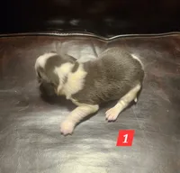 processed/fb64407c-486c-47f1-a1aa-1580ef65dc21/listing/9e364e59-03df-4f4d-b461-7855b74849f6/c56c9fe7-083f-400a-89fe-a8cd80b2f663