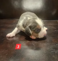 processed/fb64407c-486c-47f1-a1aa-1580ef65dc21/listing/d1691d1c-2ac2-4aa6-8866-ec7db8480e4c/d4f27a78-61d1-419d-828f-81e60c97bbbb