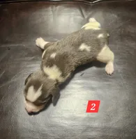 processed/fb64407c-486c-47f1-a1aa-1580ef65dc21/listing/e0ec36cf-b96f-4618-8783-62b1d1471308/01568794-2755-4eb2-bbeb-0039e9276a55