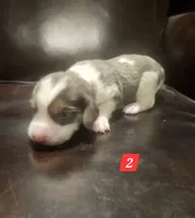 processed/fb64407c-486c-47f1-a1aa-1580ef65dc21/listing/e0ec36cf-b96f-4618-8783-62b1d1471308/35688e0f-5023-4fa0-8c57-229f8251121f