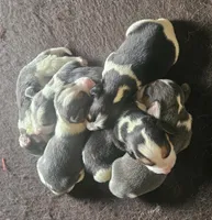 processed/fb64407c-486c-47f1-a1aa-1580ef65dc21/listing/e0ec36cf-b96f-4618-8783-62b1d1471308/fc5e2001-abd7-4d79-8185-1d21aa5dea7c