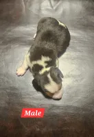 processed/fb64407c-486c-47f1-a1aa-1580ef65dc21/listing/ffd998d4-491f-4cda-9480-01a41e2c479b/c49b79e9-47b1-407b-9bac-9453aca0b6a3