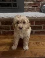 processed/fb6a6aec-295c-4675-aa9c-48a7581af69a/listing/70ec25e6-5d48-4620-9eb5-ae0fbd5dfb7d/32167221-bd12-495d-b93b-9f79b5787c0c