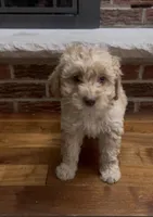 processed/fb6a6aec-295c-4675-aa9c-48a7581af69a/listing/70ec25e6-5d48-4620-9eb5-ae0fbd5dfb7d/93b29123-27ab-48aa-92fb-6e9098033b15