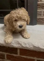 processed/fb6a6aec-295c-4675-aa9c-48a7581af69a/listing/c9ce19ca-1f12-4f49-9a84-81596e9be495/ed8d91d0-acac-487f-bd2a-566b4d8f2409