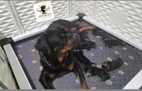 processed/fb75090a-f7ef-46f5-a3d7-37a8553660e8/facility/d548a96d-8da0-4fc2-bd12-f306873e30d2