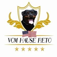 Wasko, a male Rottweiler for sale in Loxahatchee, FL – Photo 2 of 4