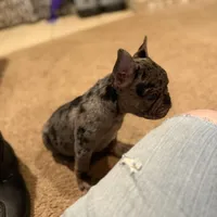 processed/fb76eb0a-76a7-4bdc-bb50-4c31c5910ebd/facility/3c16b7bb-afad-47b8-a868-0b018739243e