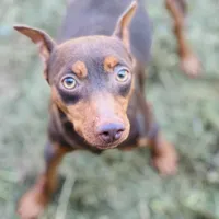 processed/fb76eb0a-76a7-4bdc-bb50-4c31c5910ebd/facility/4447d03e-e3b2-4144-b1a0-85288499e09c