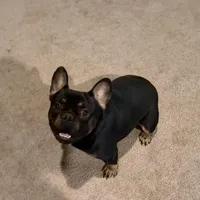 processed/fb76eb0a-76a7-4bdc-bb50-4c31c5910ebd/facility/4dae0d65-647f-4005-8856-79d2dcfa9a2d