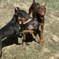 processed/fb76eb0a-76a7-4bdc-bb50-4c31c5910ebd/facility/6621b6fb-4782-45d4-aea4-0f0c32ea28f8