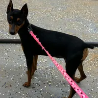 processed/fb76eb0a-76a7-4bdc-bb50-4c31c5910ebd/facility/8d08086e-9ea2-4b7b-892e-972d7eea7706