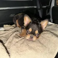 processed/fb76eb0a-76a7-4bdc-bb50-4c31c5910ebd/facility/b20ff59e-86df-41c9-b5d9-ce419c4b326f