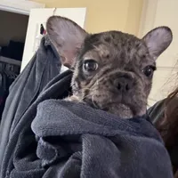 processed/fb76eb0a-76a7-4bdc-bb50-4c31c5910ebd/facility/d147ce5f-ec81-41de-9dea-55e52a2a2bb3