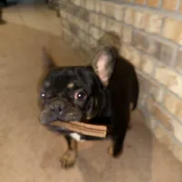 processed/fb76eb0a-76a7-4bdc-bb50-4c31c5910ebd/facility/d46bc874-0105-4148-8739-58afba75e167