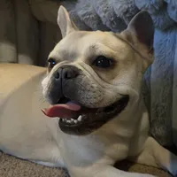 processed/fb76eb0a-76a7-4bdc-bb50-4c31c5910ebd/facility/def00f61-7334-4ada-a29d-ba03e2af0fb1