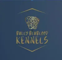 processed/fb850ff0-df6a-415c-9a3a-69f9915cd166/facility/23dcb806-551e-41b3-8d29-0f8508163c07