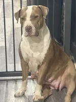 processed/fb850ff0-df6a-415c-9a3a-69f9915cd166/facility/81dec9da-08b2-488c-9a83-0ceb711fe3e6