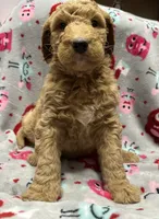 processed/fb870d14-8f49-49d4-85db-8ddab3ef746d/listing/3d20502f-d547-4907-8dd8-4c5cef3302a5/22d2f957-c0a9-4809-a05d-2398f5b1f7f1