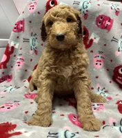 processed/fb870d14-8f49-49d4-85db-8ddab3ef746d/listing/3d20502f-d547-4907-8dd8-4c5cef3302a5/5f80c62f-68c7-4978-bf36-569bc003a52b