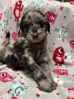 processed/fb870d14-8f49-49d4-85db-8ddab3ef746d/listing/4f531825-70e3-4b32-a891-386d827ab4ba/35be339b-65a2-4500-be81-36492823f693