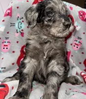 processed/fb870d14-8f49-49d4-85db-8ddab3ef746d/listing/4f531825-70e3-4b32-a891-386d827ab4ba/504c01f3-89d6-43a0-921b-43c327ec8448