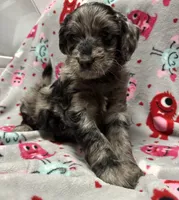 processed/fb870d14-8f49-49d4-85db-8ddab3ef746d/listing/4f531825-70e3-4b32-a891-386d827ab4ba/659b96f7-2f29-4699-8c1f-4411f00a4a4d