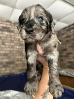 processed/fb870d14-8f49-49d4-85db-8ddab3ef746d/listing/4f531825-70e3-4b32-a891-386d827ab4ba/797ee5c4-5509-43ad-a6e4-5c024b4e7a57