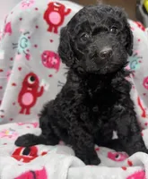 processed/fb870d14-8f49-49d4-85db-8ddab3ef746d/listing/5a3d9775-857c-4c44-9afc-7e139e4b9fd0/32de383a-c968-4ca3-93cf-bcfbacb288b4