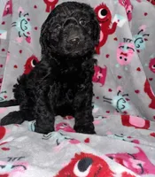 processed/fb870d14-8f49-49d4-85db-8ddab3ef746d/listing/5a3d9775-857c-4c44-9afc-7e139e4b9fd0/34e53274-4a47-4644-840e-77163878f2ad