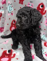 processed/fb870d14-8f49-49d4-85db-8ddab3ef746d/listing/5a3d9775-857c-4c44-9afc-7e139e4b9fd0/d0b6959d-08b4-4ed1-b459-a7283033709e