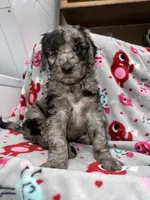 processed/fb870d14-8f49-49d4-85db-8ddab3ef746d/listing/6142207e-3c2d-4e57-8c10-ab5b21a4f366/0f48bcb0-1f0f-408c-ab76-dc939a5b7026