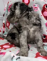 processed/fb870d14-8f49-49d4-85db-8ddab3ef746d/listing/6142207e-3c2d-4e57-8c10-ab5b21a4f366/1983ff1f-1c6d-40d8-945e-b5f46d1b4253