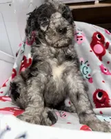 processed/fb870d14-8f49-49d4-85db-8ddab3ef746d/listing/6142207e-3c2d-4e57-8c10-ab5b21a4f366/5546ef71-a94b-4637-a19b-be5a3dc873c7