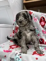 processed/fb870d14-8f49-49d4-85db-8ddab3ef746d/listing/6142207e-3c2d-4e57-8c10-ab5b21a4f366/6c2b2489-a259-4f2b-a8c2-f2c012af15ab