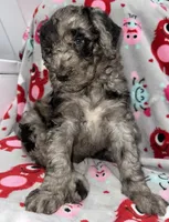 processed/fb870d14-8f49-49d4-85db-8ddab3ef746d/listing/6142207e-3c2d-4e57-8c10-ab5b21a4f366/8a6bd877-f04e-4063-8c95-0b2b84da20b8